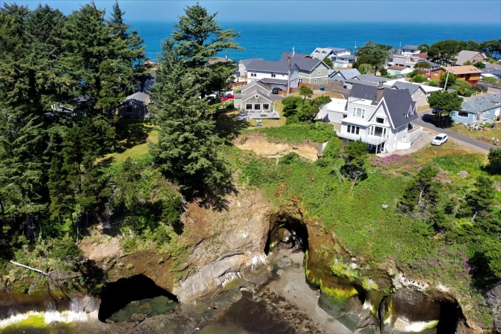 Aerial view of coastal homes on a grassy bluff above the ocean, with tall evergreen trees and sea caves carved into the rocky shoreline below.